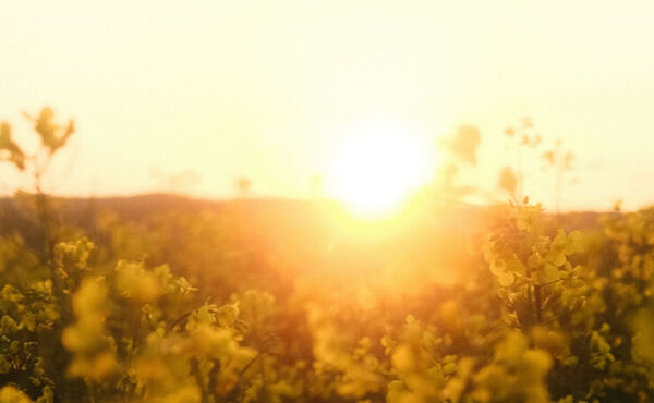 ภาพขนาดย่อ